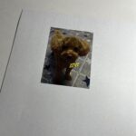 持ち込み写真