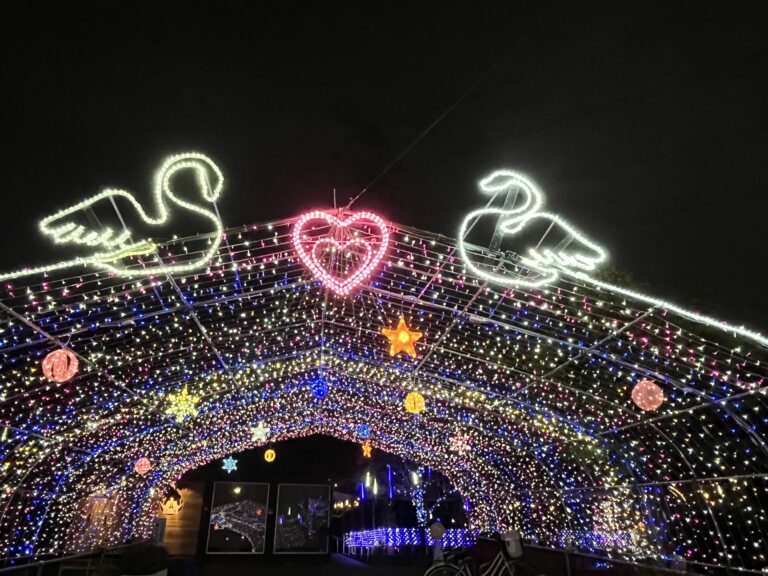 写真 2025-10-29 17 23 31