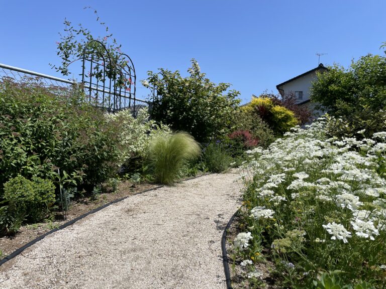 写真 2024-05-10 12 34 28